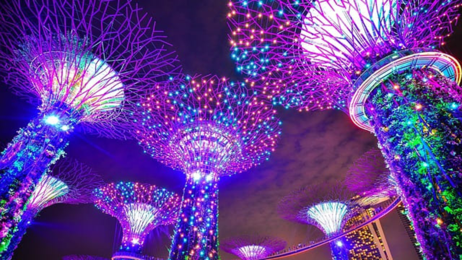 singapore-1896765_640(1)