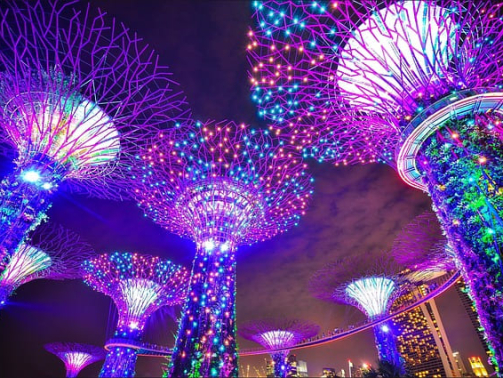 singapore-1896765_640(1)